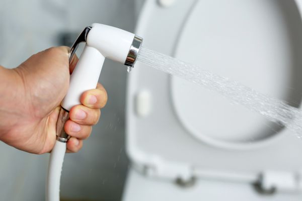 Cost of Bidet Installation in Fredericksburg