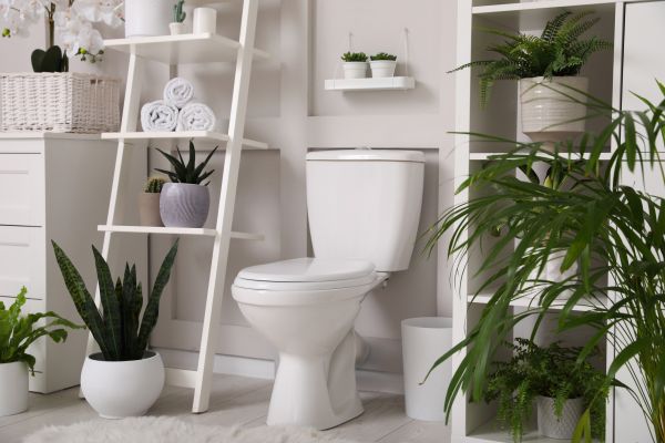 Toilet Repair in Fredericksburg